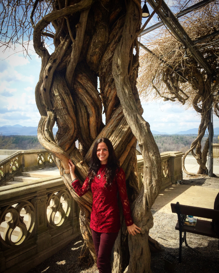 Adventures at the Incredible Biltmore Estate in Asheville