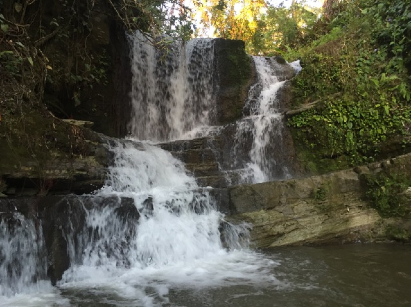 Typhoon Dolphin Splashes Guam, Hotel Biz Retreat & Backyard Waterfall Adventure