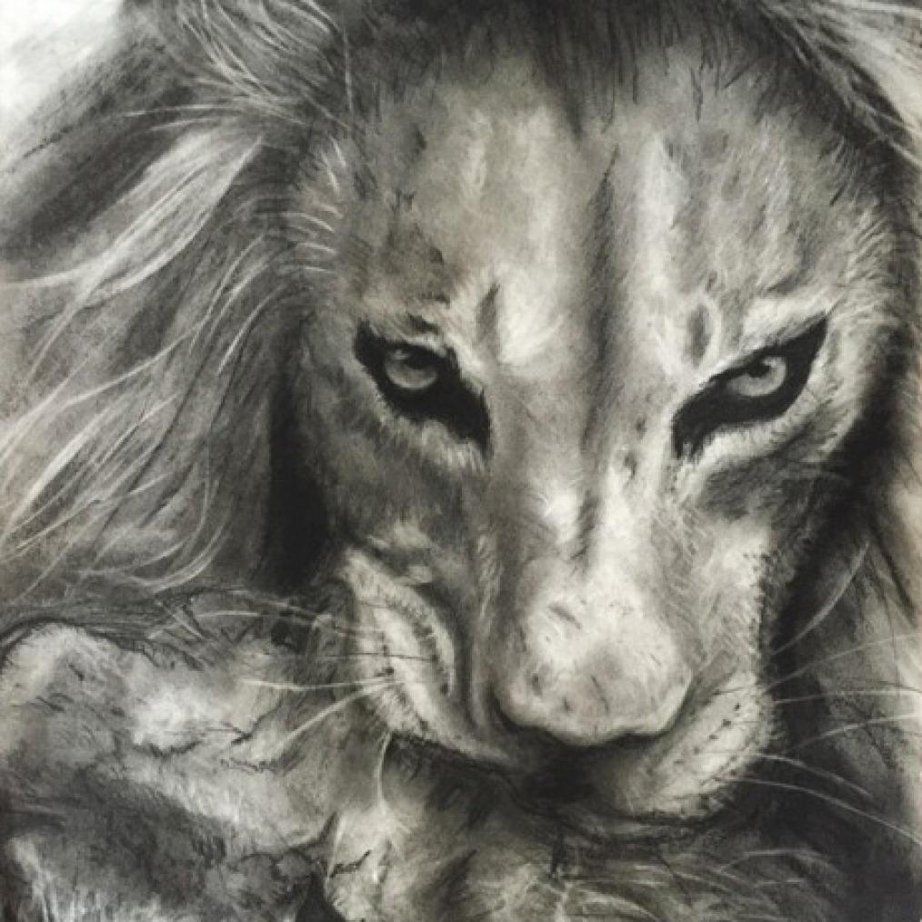 King Lion Charcoal Drawing