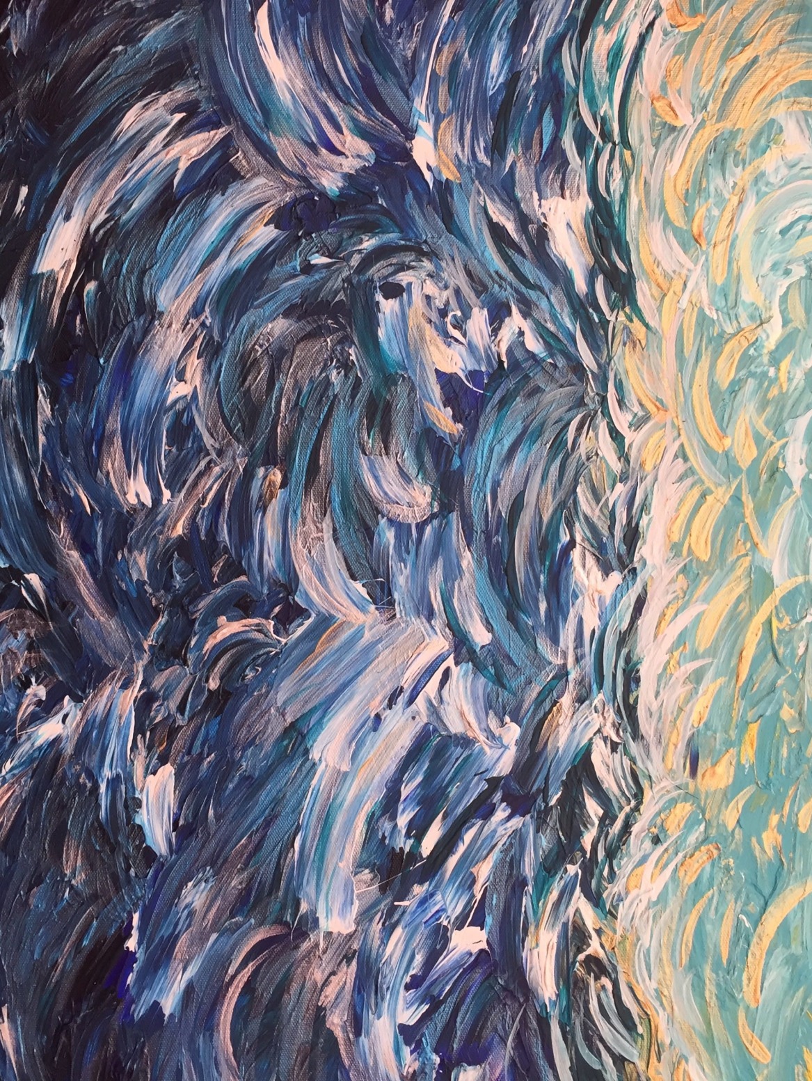 Wild Seas