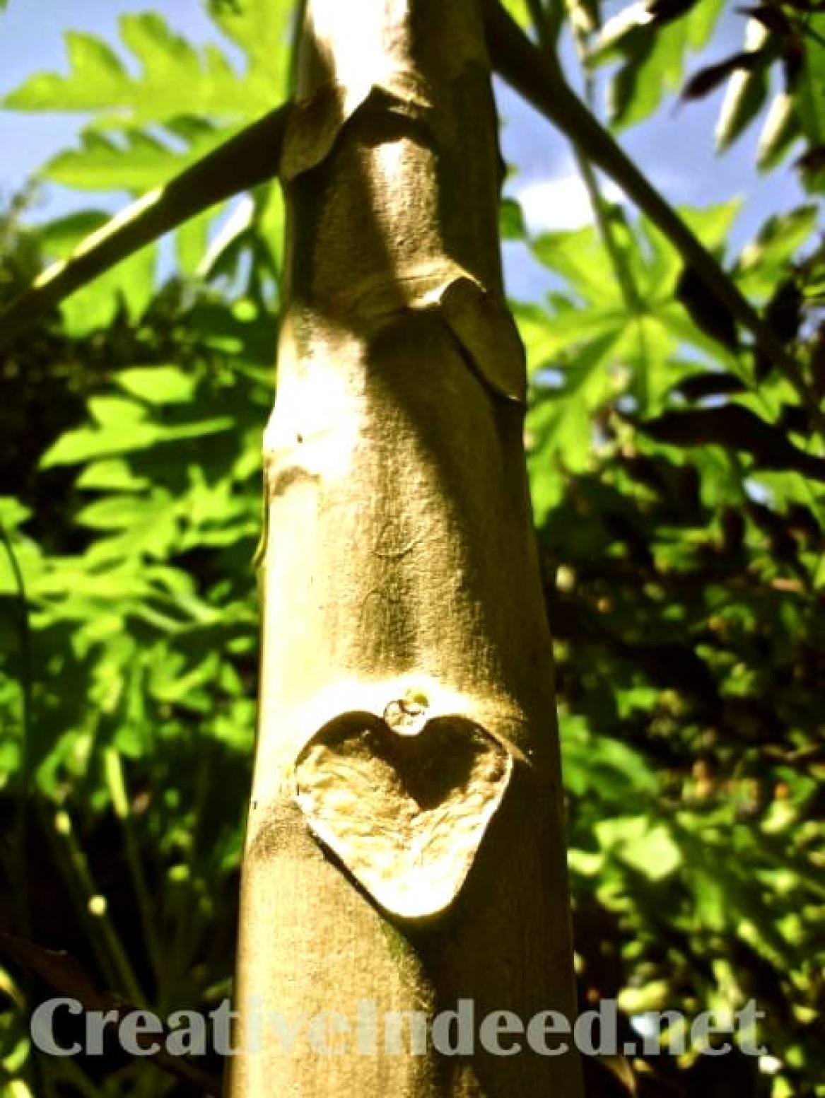 Poetry: Letting Go and Letting Love