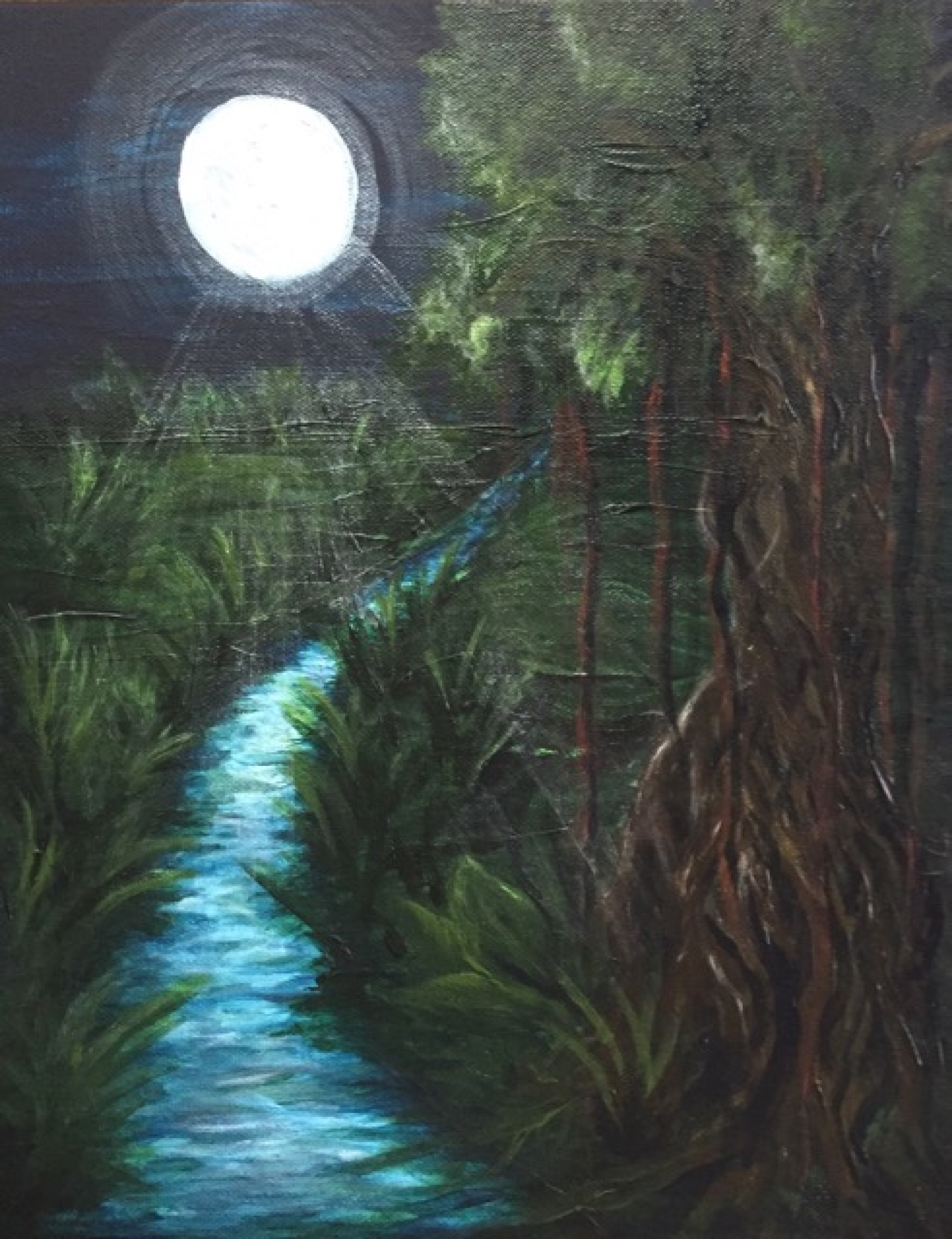 Moonlit Jungle River