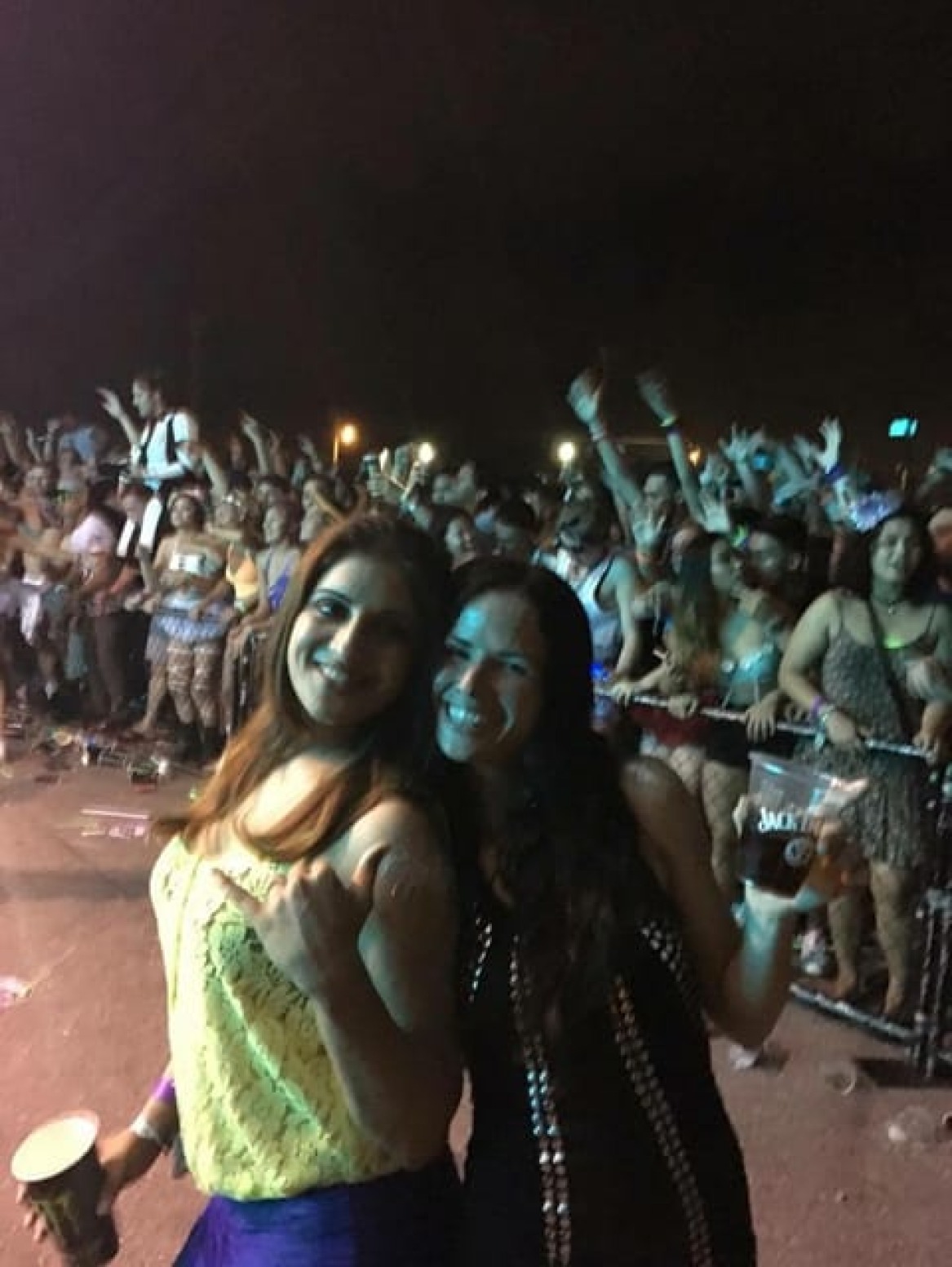 So Much Fun at the 2016 Electric Island Festival!