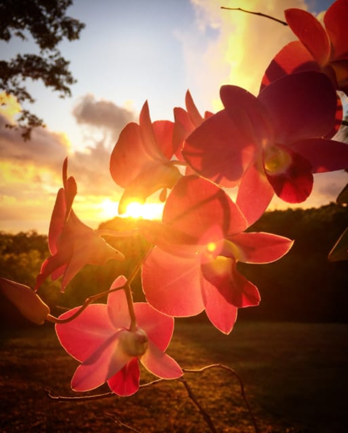 Photo Inspirations That Keep the Creativity Flowing