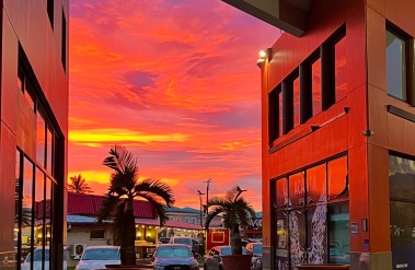 813D944D-14F6-42D5-80E8-31ACCB9C26B0