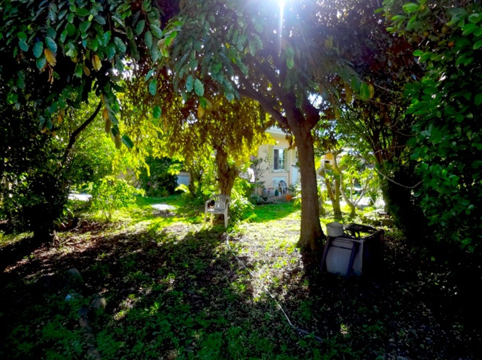 A Quiet Day of Sounds: Bells, Piano, Birds, Wind & Vibrations