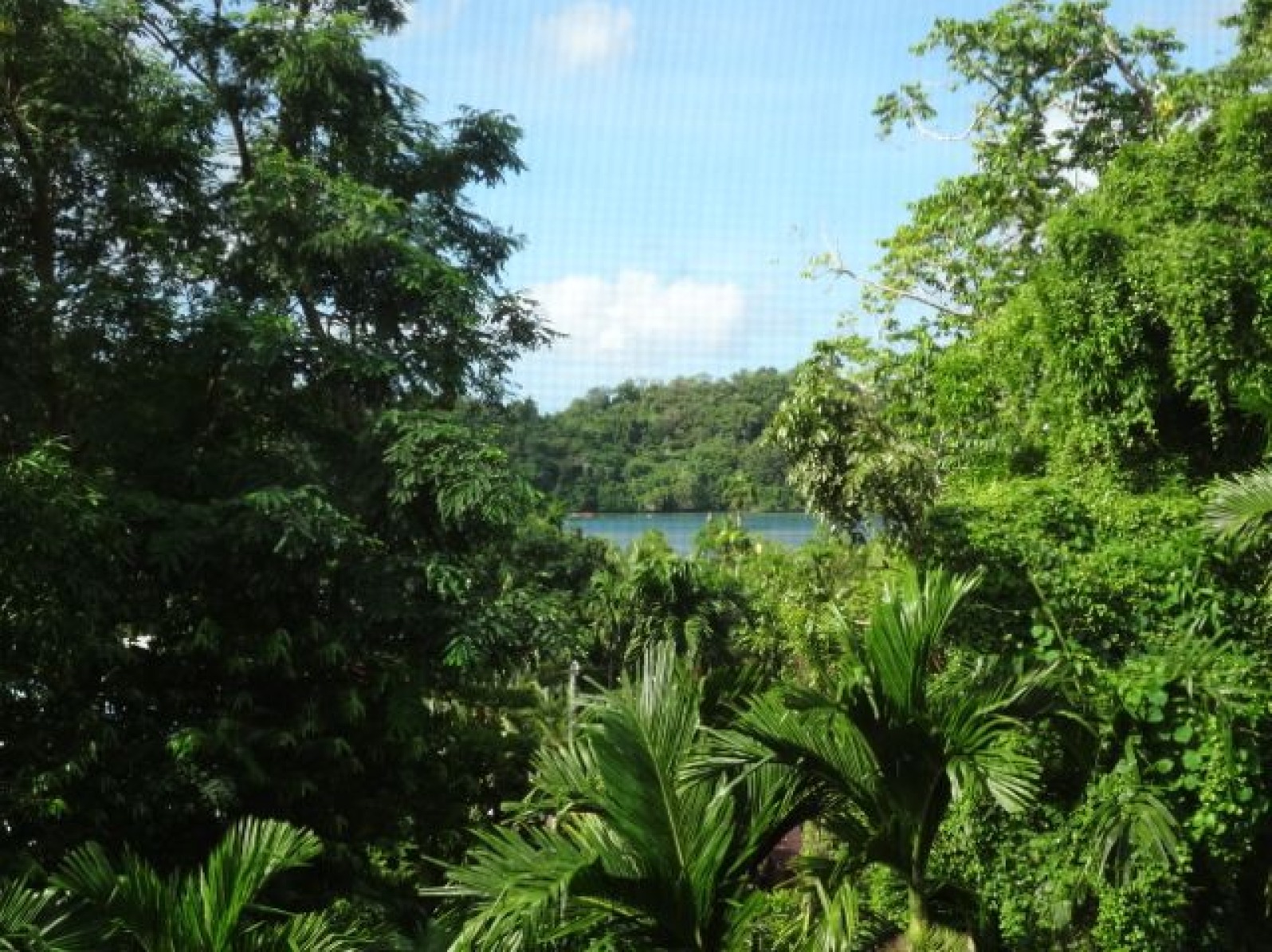 Rest and Rejuvenation in Palau Paradise!